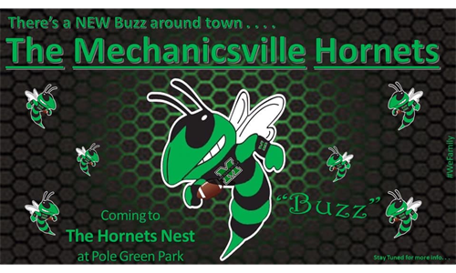 Welcome to the Hornets Nest
